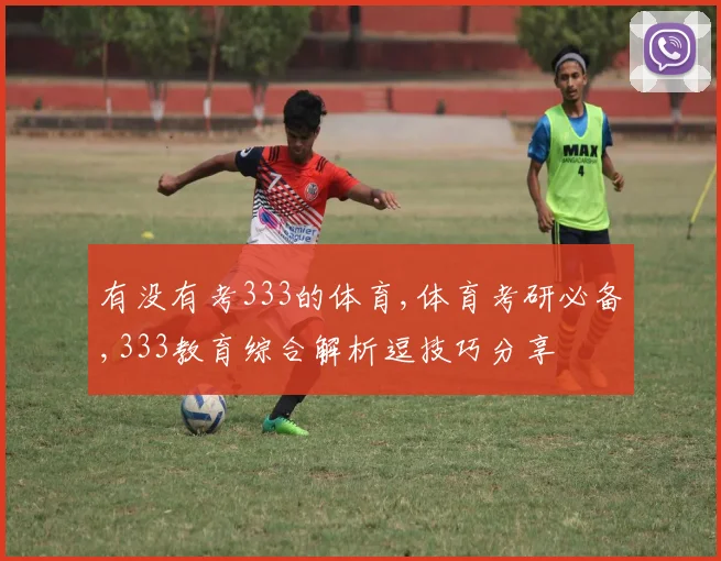 有没有考333的体育,体育考研必备,333教育综合解析逗技巧分享