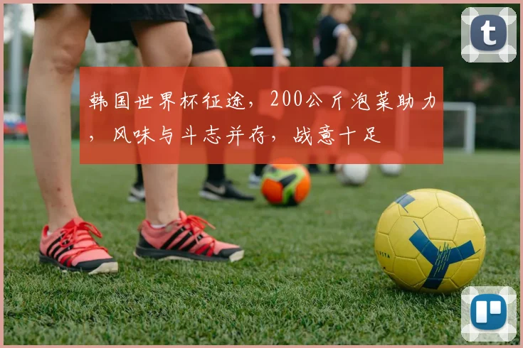 韩国世界杯征途，200公斤泡菜助力，风味与斗志并存，战意十足
