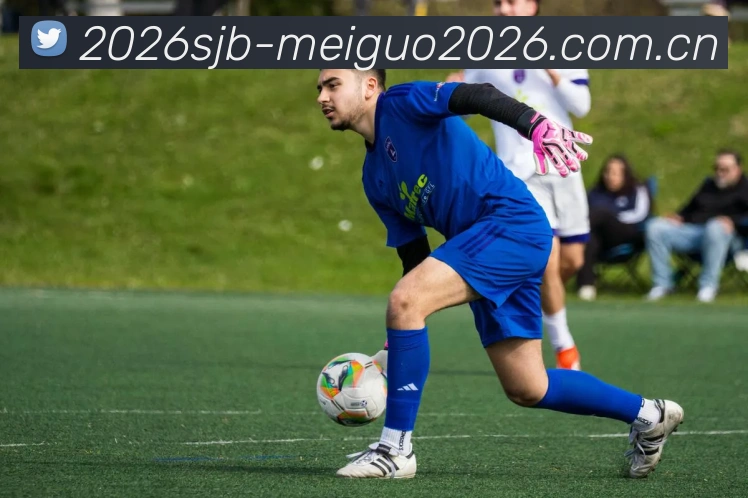 美国世界杯2026小组服务体系